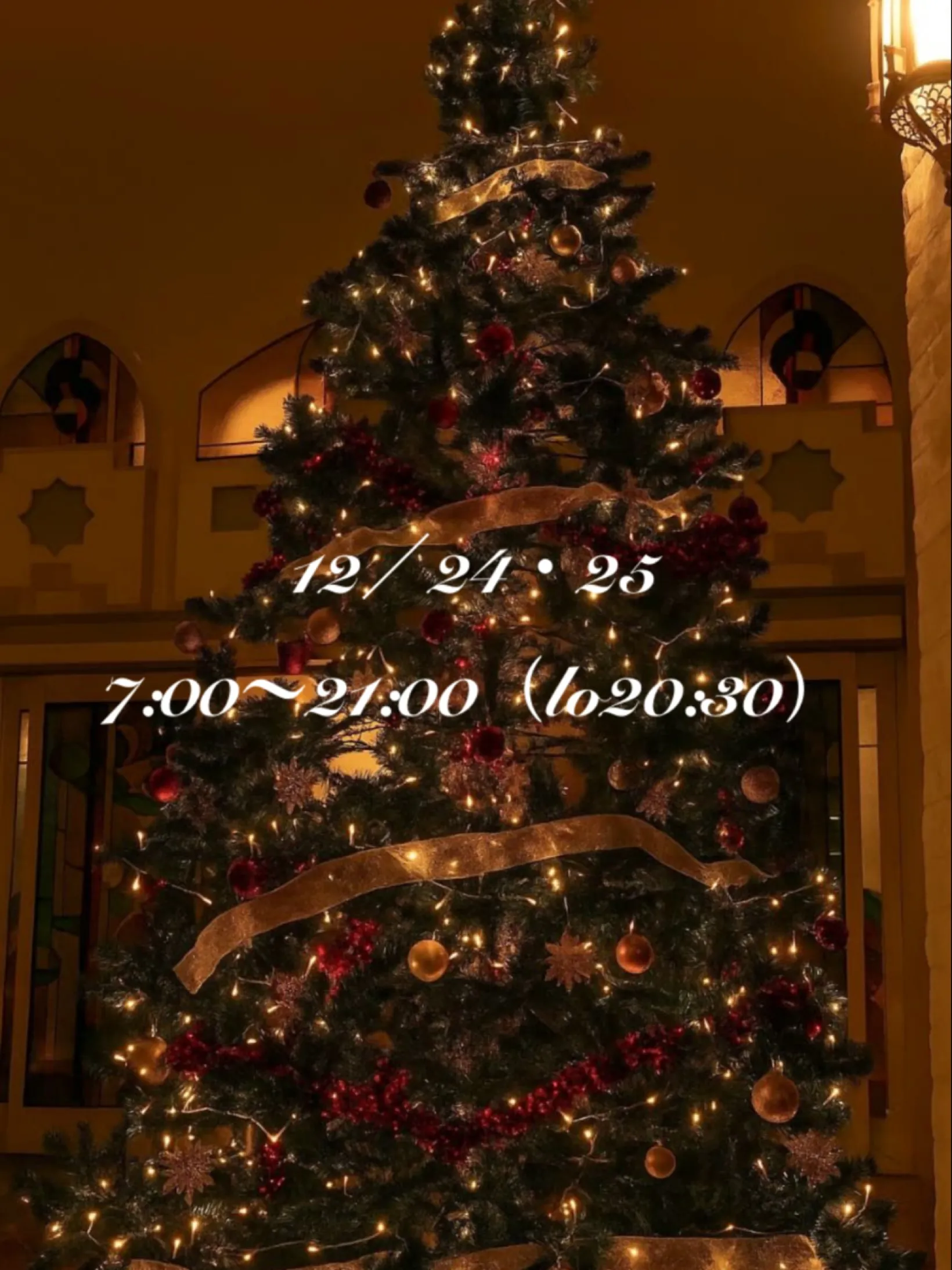 こんにちはOMOFU です🎅🏼